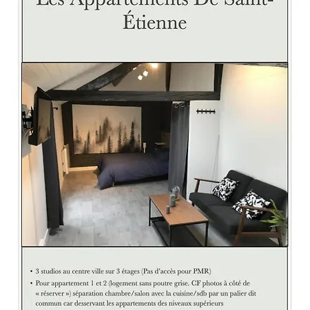 De St-etienne Apartmán